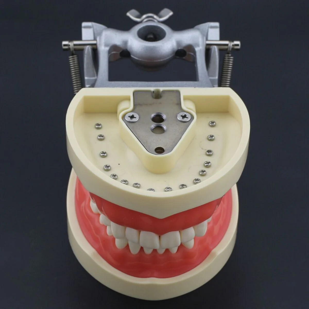 S985aaecfa87f43ec867367ad45bc2