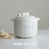 Micropressure Ceramic crock pot Mini Stew pot Smart sous vide cooker cuisine intelligente Electric Slow Cooker Home Appliances 1