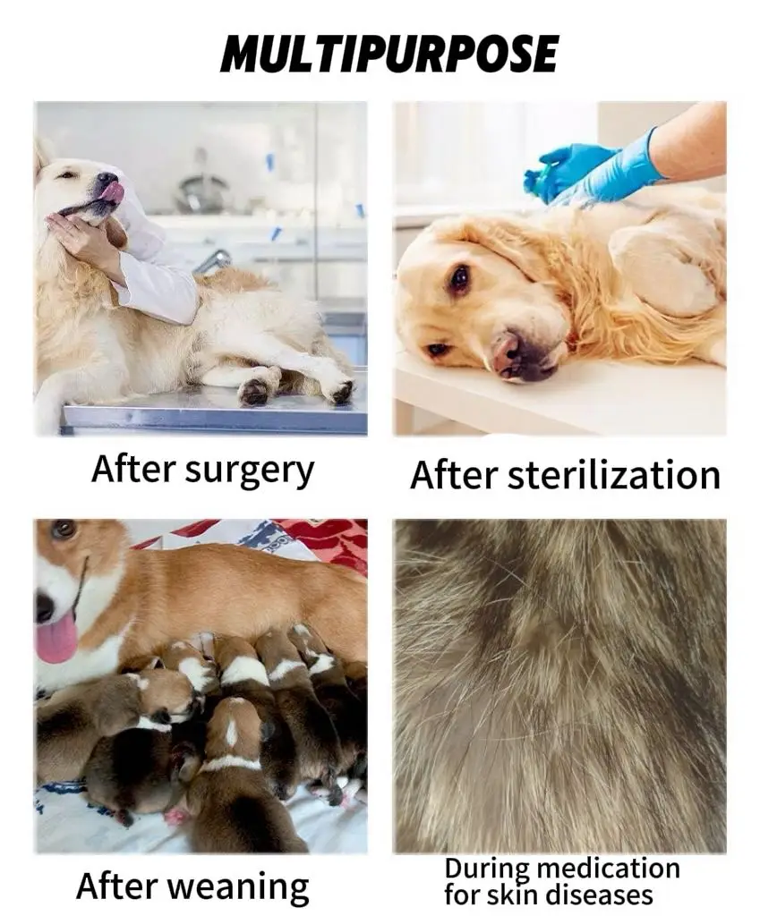 Surgery Recovery Suit Anti Licking Wounds Pet Care Clothes After Surgery Clothes Pet Supplies For Dog Pet Accessories WWO66 5