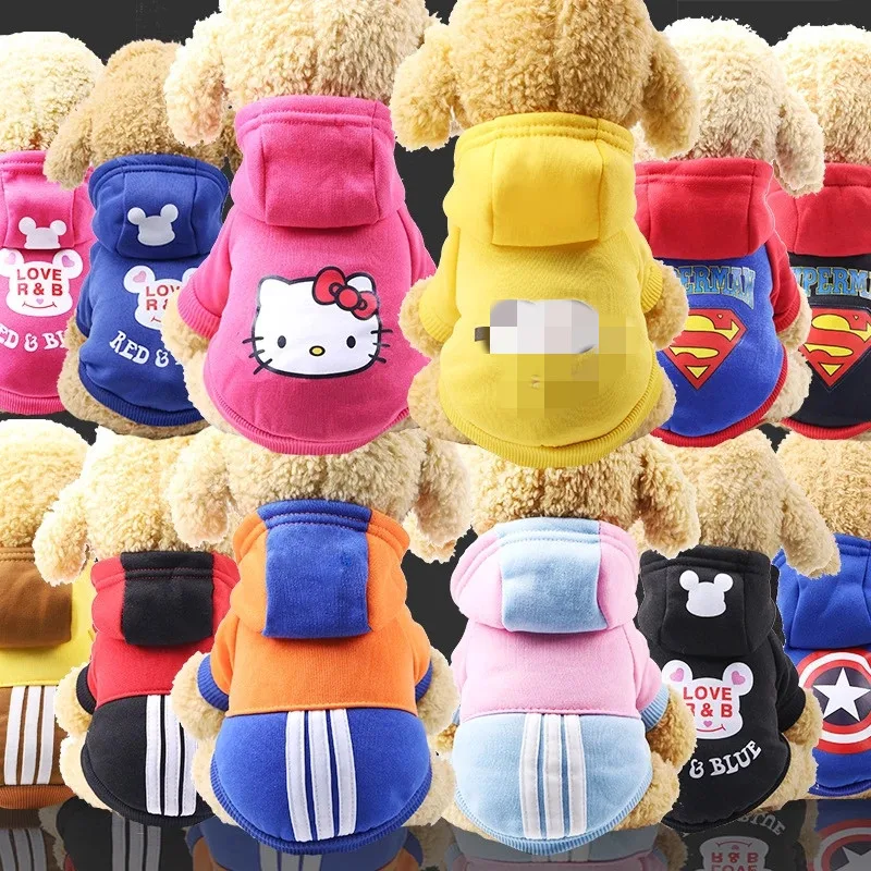 mascotas