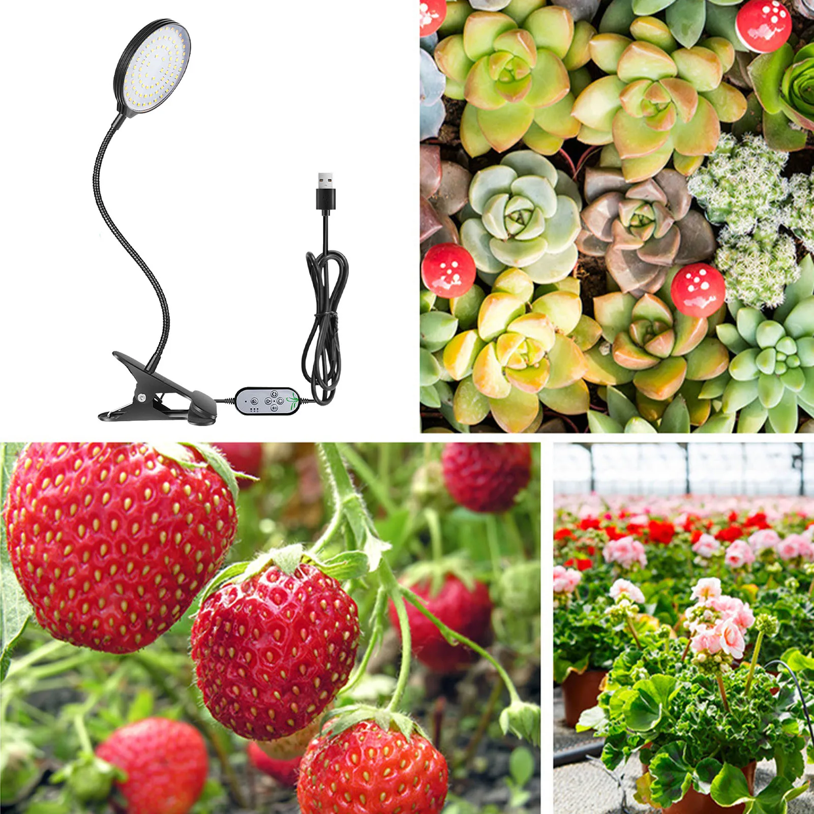 LED Grow Light USB Phyto Lamp Blue Red Full Spectrum Indoor Plants Growing Lights For Plants Seedlings Flower Indoor Grow Box