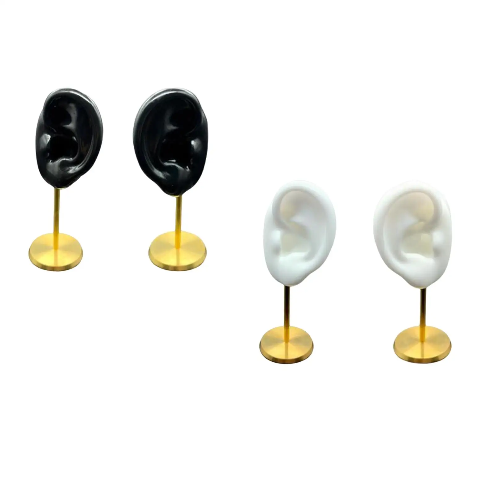 Earring Display Stand Human Ear Model Durable Teaching Tools Storage Rack