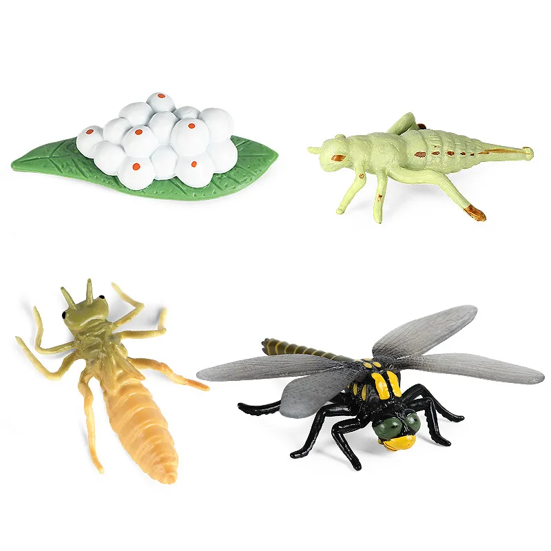

Детские развивающие игрушки, моделирование животных, цикл роста, модель насекомых, стрекоза, Бабочка, петух, пчела, улитка, Кузнечик