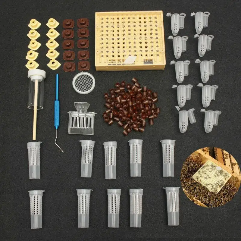 1set bee queen rearing king new plastic cells cages room cups cell cage cup bees tools beekeepers Kit