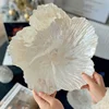 In Nordic modern flower-shaped fruit bowl shaped household candy salad plate luxury pearl snacks plate net red plate 1