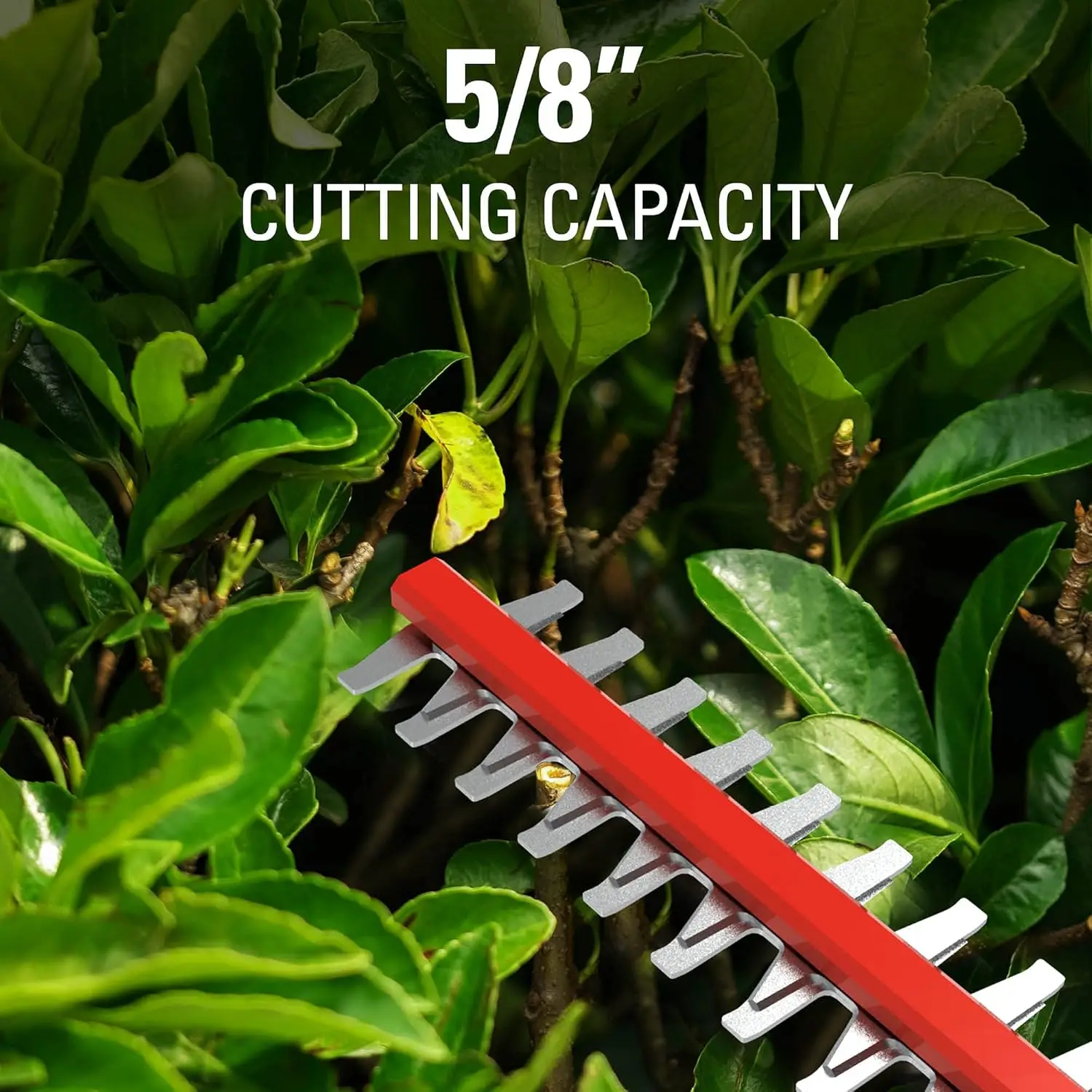 40V 20 Cordless Pole Hedge Trimmer 2.0Ah Battery and Charger Included 20-inch Steel dual action blade 9.2 Pounds