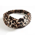 276 leopard