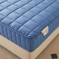 Six Sides All Inclusive Mattress Cover with Zipper Thicken Fitted Sheet Quilted Mattress Protector Pad Couple Customized Size 3