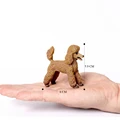 Poodle-3