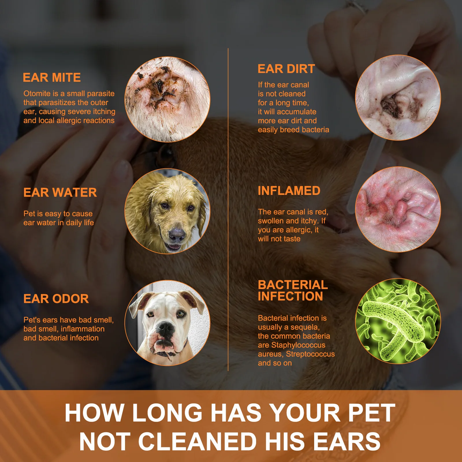 Pet Ear Cleaner with Cotton Swab, Cat and Dog Ear Mite Removal, Itching Relief, Cleaning Drops, Canal Deodorization
