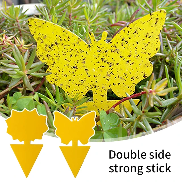 10 Darabos Ragadós Rovarlemez Gyümölcslégy Szúnyog Csapdák Erős Kétoldalas Sárga Ragacsos Növényi Virágok Cserepes Matrica Címkék - Image 2