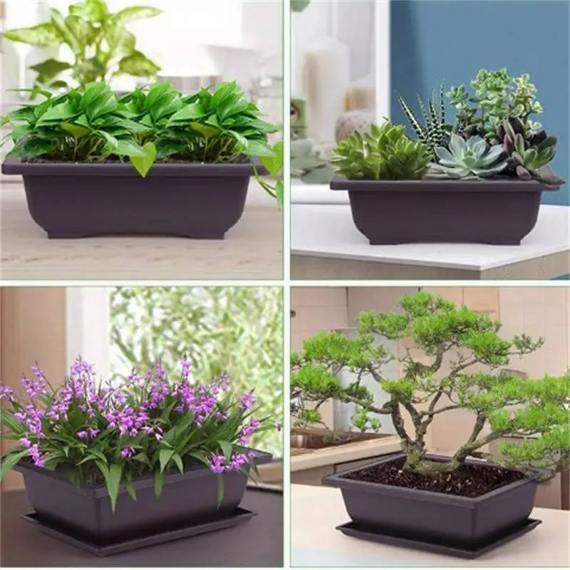

Planters Pot Trays Creative Pots Plants Flower Pots For Succulent Plants Plastic Pots