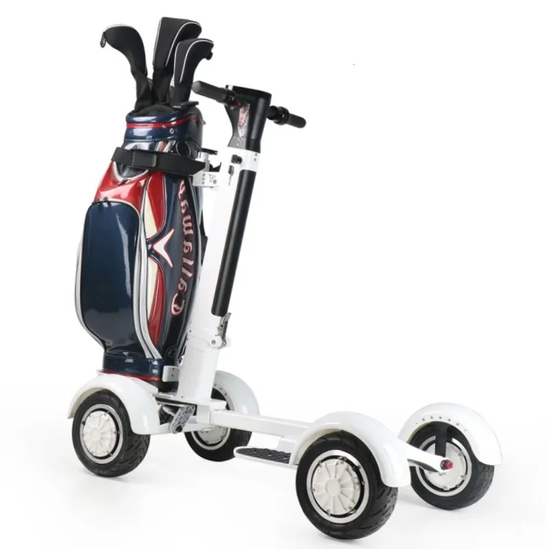 Double Motor All Terrain Golf Cart Electric Scooter Foldable Portable Travel With Seat Adults 2000W Off Road Mobility Scooter