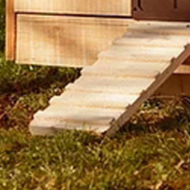 Chicken coop door Automatic Chicken Coop Door