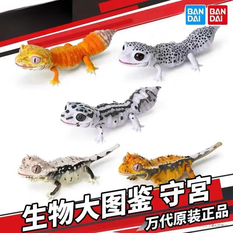 Bandai Original The Diverysity Of Life On Earth Giant Simulation Geco Lizard Best Leopard Geckos Anime Action Figure Gifts
