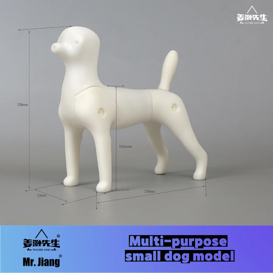 Mr. Jiang modle model Pet Teacher Beauty Modeling Practice Dog