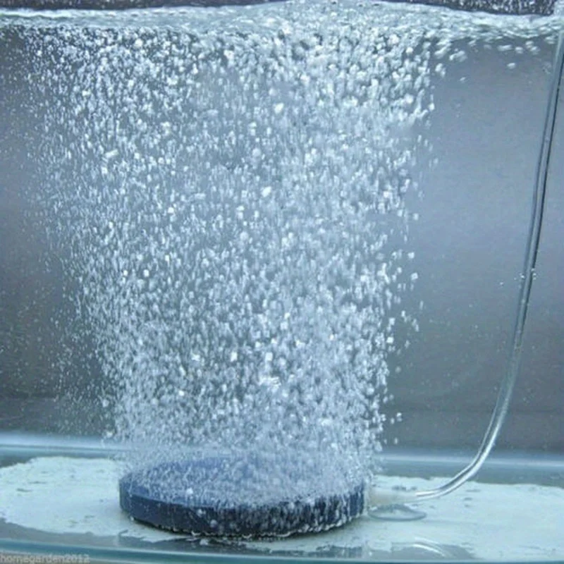 Bubble d'aria Pietra Acquario Aeratore Pompa per stagno Pietra d'aria Disco a bolle Acquario Pompa d'aria Piastra di ossigeno idroponico Accessori per acquari - immagine 3