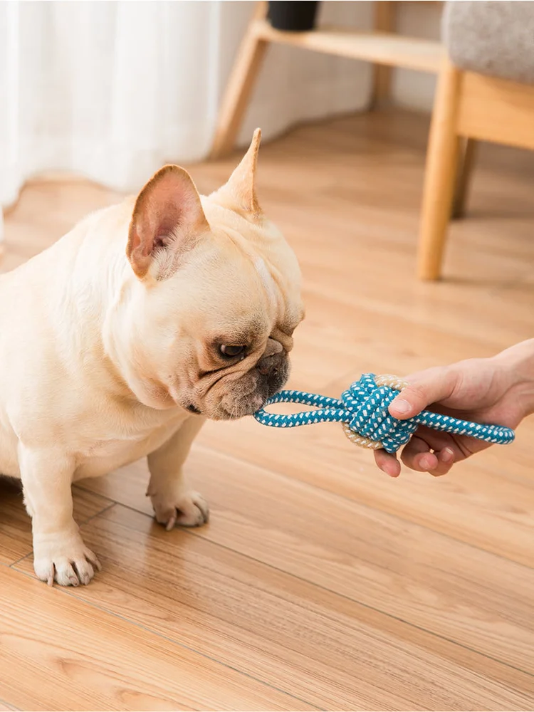 Durable Dog Chew Rope Toy Knot Ball For Small Puppies Bite Resistant Molar Teeth Cleaning Self Play Boredom Relief Pet Supplies S987c3c28e0b14b2e950cd63cec6a926ae