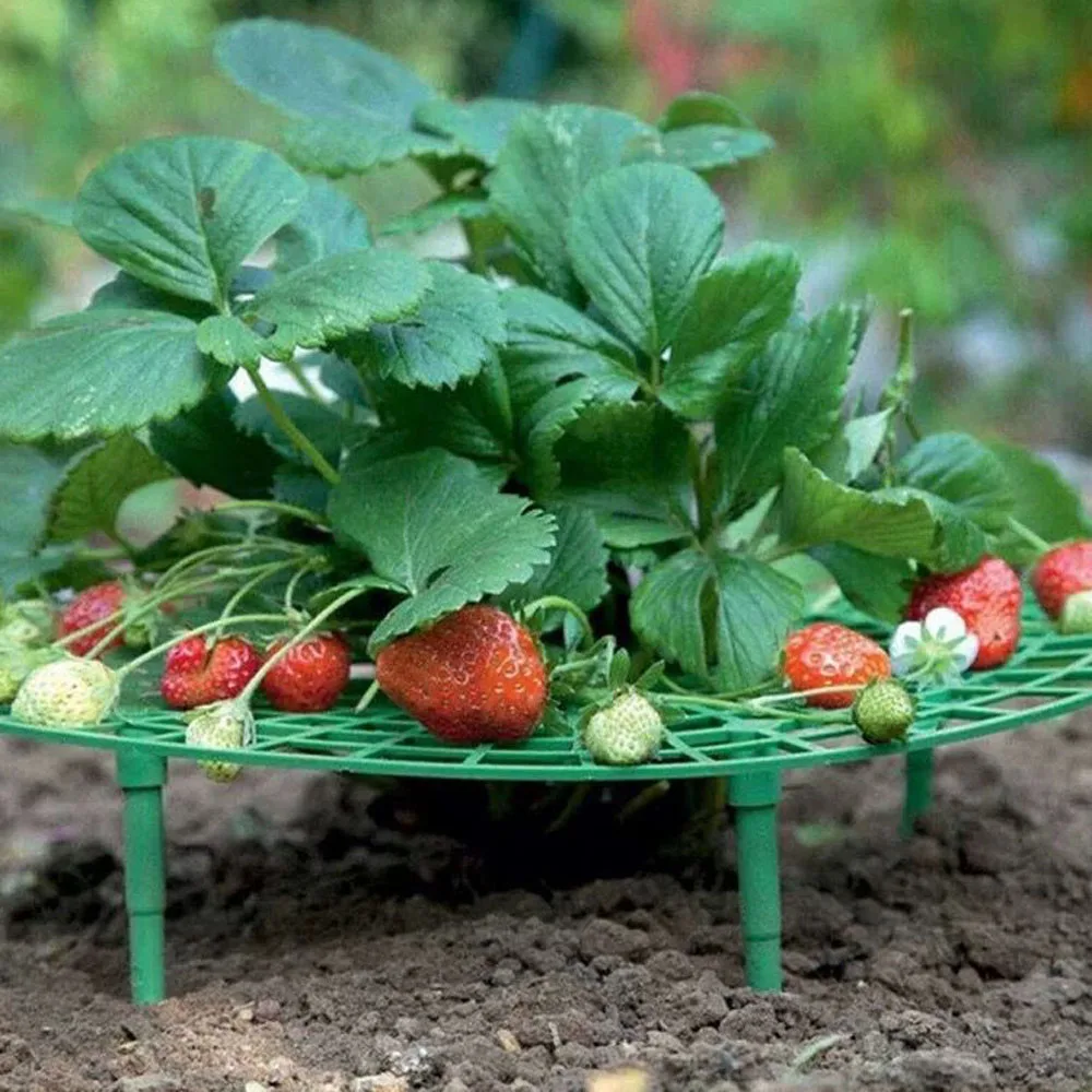 5/10/15 Pcs Strawberry Stand Frame Holder Balcony Planting Rack Fruit Support Plant Flower Climbing Vine Pillar Stand