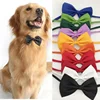 Stylish & Adjustable Pet Bowtie Collar: Make Your Dog Or Cat Look Fabulous! 1