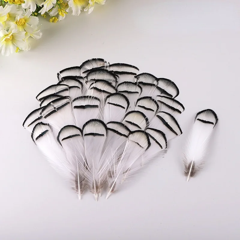 자연 야생 닭 깃털, 5-8cm, DIY 닭 깃털 마스크, 웨딩 장식, 드림 캐처 깃털, 도매, 50 개