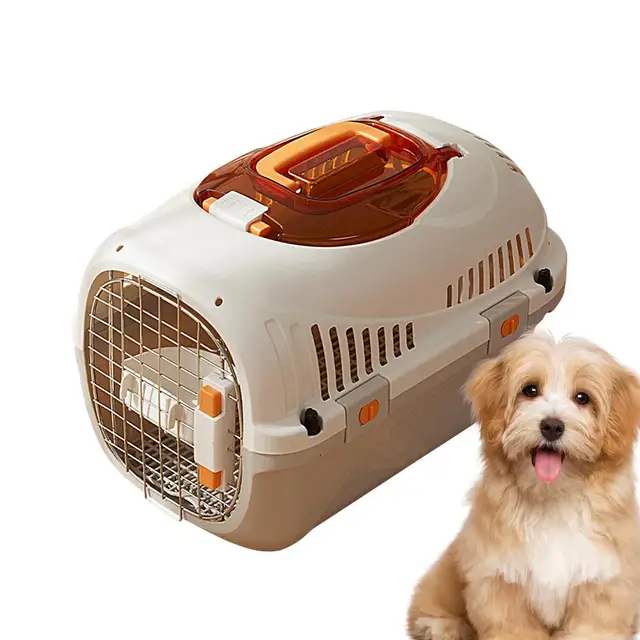 Pet Carrier Transporting Puppies By Air Pet Air Transport Box For