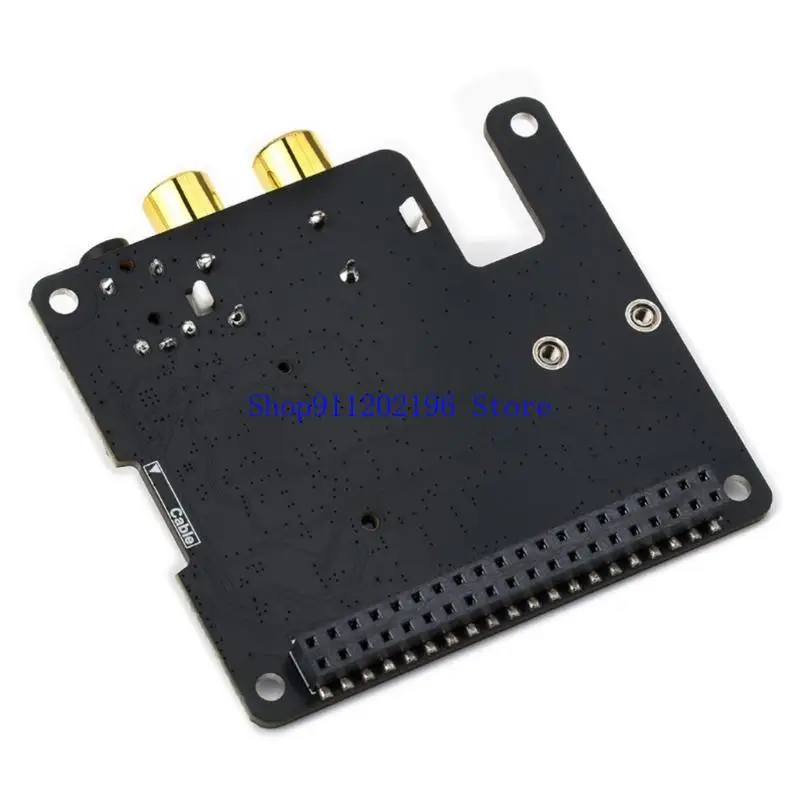 8Gbps NVMe를 지원하는 P82A 고급 PCIe M.2 I2S 사운드 인터페이스 확장 보드