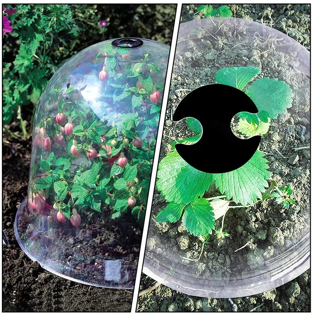 4 Dcs Szigetelés Fedezze Be A Fagyasztóellenes Esőálló Mini Növényeket - Image 6