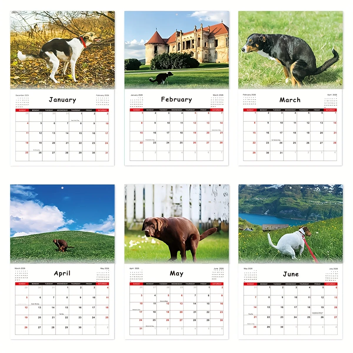 2026 Pooping Dogs Calendar Hangable Creative Daily Weekly Monthly Planner Agenda Schedule Organizer for Home Decor Wall Calendar
