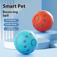 Pet Play Toy Ball, Electric Dog Ball, USB Rechargeable Dog Interactive Toy, Good Companion for Dogs 3
