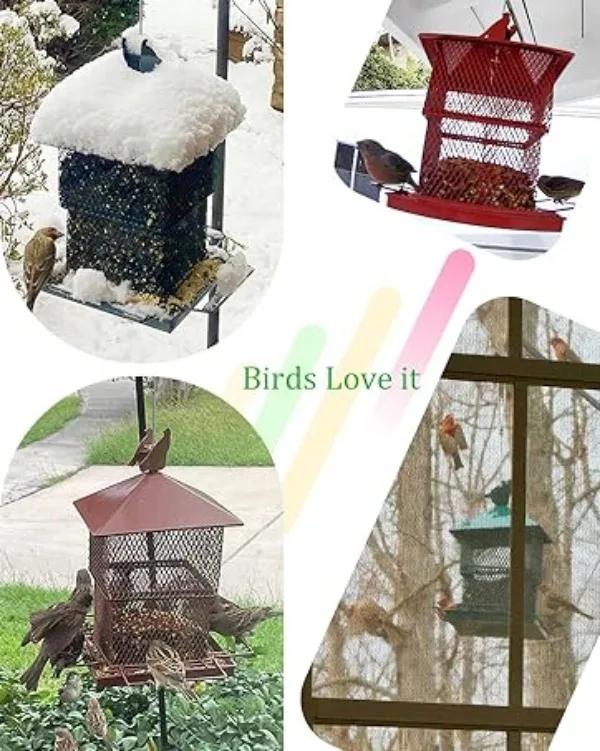 hanging bird feeder