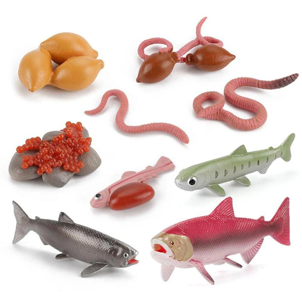 

King Crab Earthworm Simulation Insect Educational Toys Children Octopus Salmon Realistic Life Cycle Growth Cycle Model