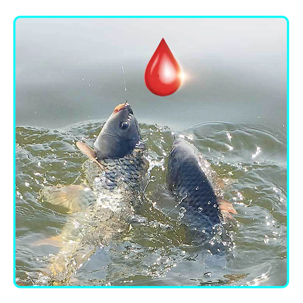 60ml/bottle amino acid bait additive for crucian carp carp grass bream tilapia fishing attractant