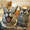 DIY Personalized Photo Customized Cushion 3D-Printed Pet Dog Cat Pillow Cartoon Animal Pillow for Sofa Bed Decor Birthday Gifts 1
