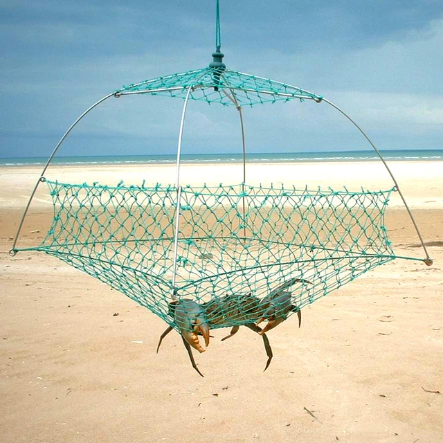 1PC Fully Collapsible Crab Trap MA840 Mesh Netting Fishnet Tackle SS Spring  Nets For Fishing Traps Crabbing Nets Model MA840 - AliExpress
