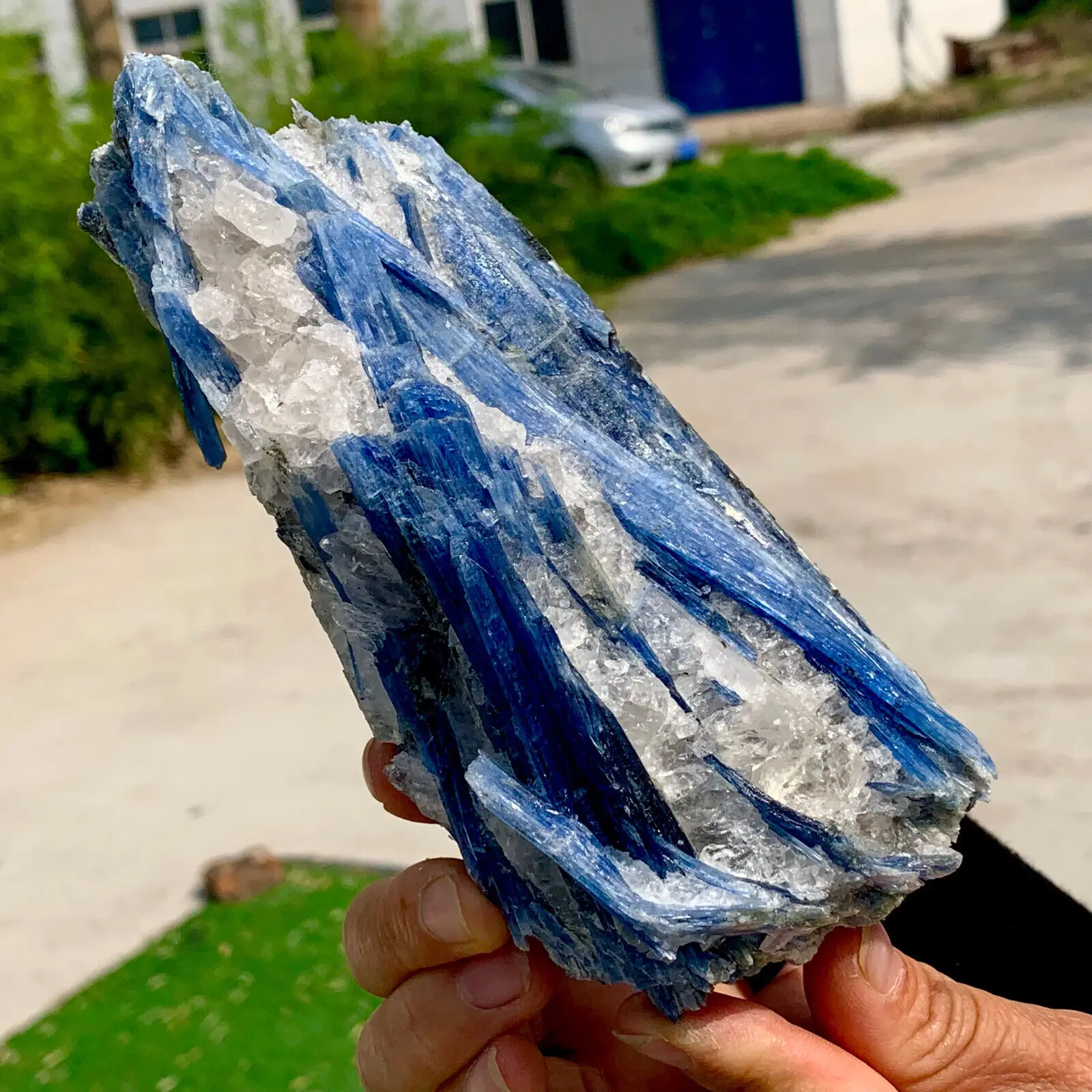 

Amazing Natural Kyanite Raw Ore Quartz Crystal Treatment Mineral Specimen Healing Home Office Degaussing Decorative Energy Gem