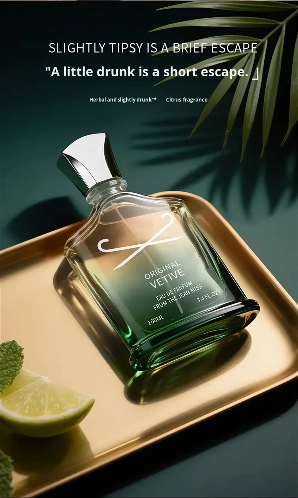 Perfume de Marca de Lujo para Hombre, 100 ml, Eau de Parfum, Colonia Masculina, Fragancia Natural y Duradera, Parfums Ho