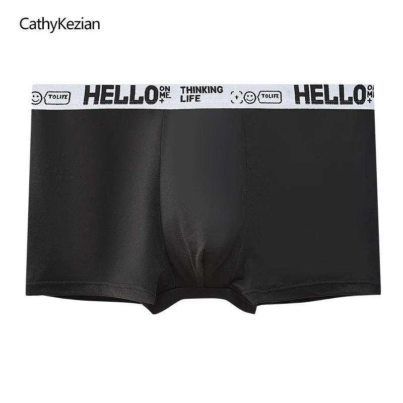 Men Boxers Shorts Underpants Underwear 10 Pieces 2XL 3XL 4XL 10 Colors Mixing Soft Fashion Sports Casual Boxer Shorts