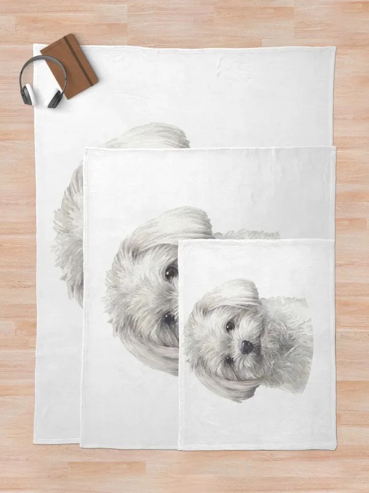 �Ϳ��� ��Ÿ ��äȭ ��Ʈ ������ ���, ���� ����, �ܿ� ħ�� ���