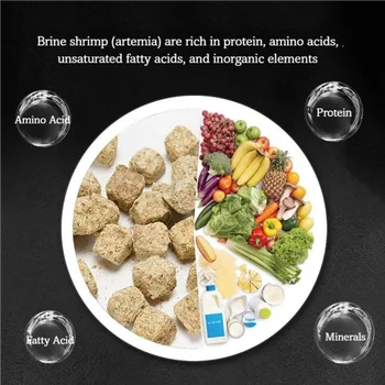 Freeze-Dried Brine Shrimp Cubes Fish Food High Protein Artemia Blocks For Tropical Fish, Arowana, Betta, Axolotl, Tortoise 2 Freeze-Dried Brine Shrimp Cubes Fish Food High Protein Artemia Blocks For Tropical Fish, Arowana, Betta, Axolotl, Tortoise 2