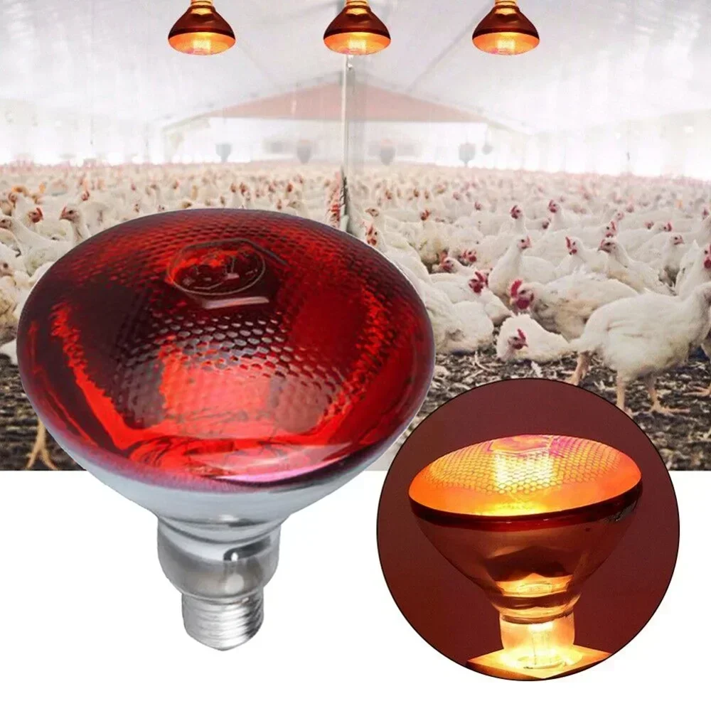 Reptile Heating Lamp 220V Infrared Heating Lamp Bulb 100/150/200/275W Suitable for Reptiles Plants Pets