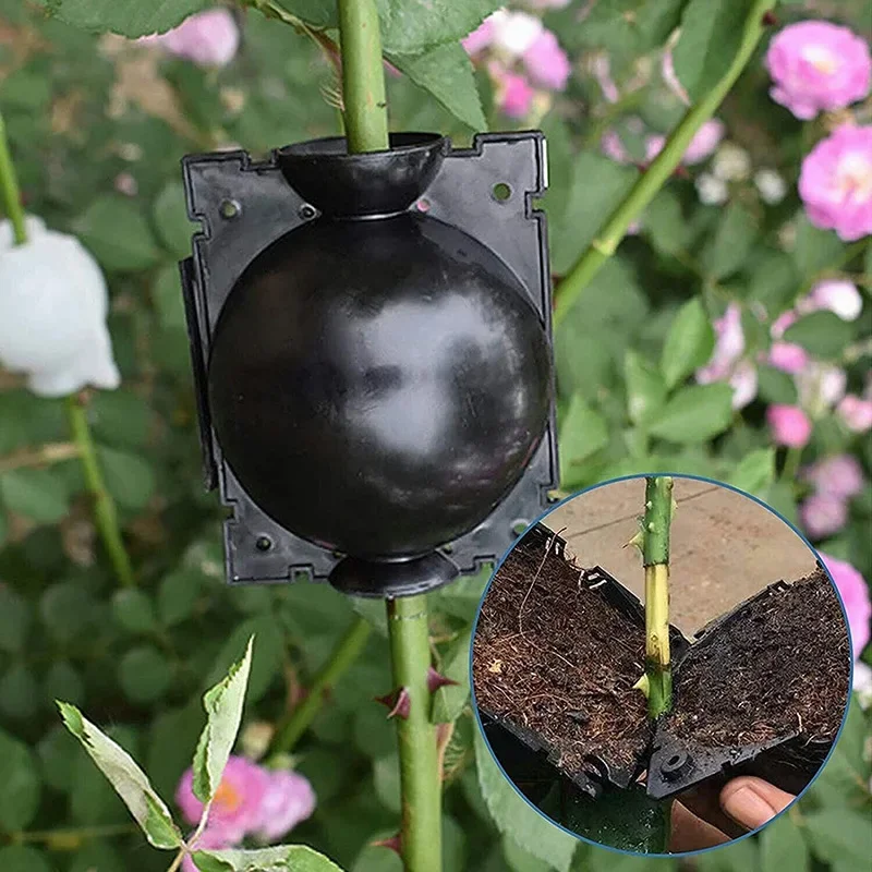 Plant Propagation Rooter Spherical Root Controller Horticulture Gardening High Pressure Cuttings Grafting Box Seedling Balls 3