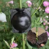 Plant Propagation Rooter Spherical Root Controller Horticulture Gardening High Pressure Cuttings Grafting Box Seedling Balls 3