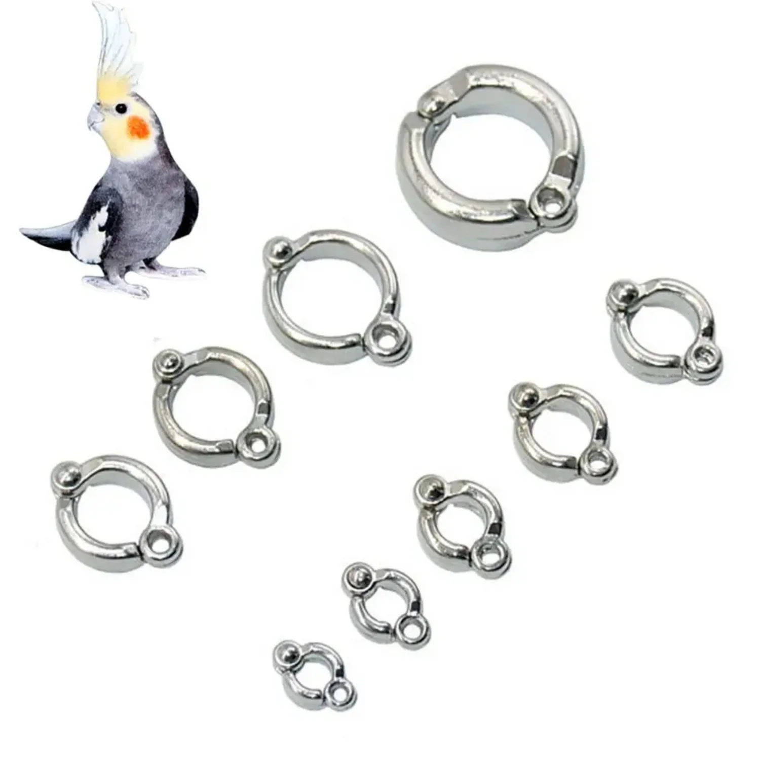 5er- oder 10er-Set Edelstahl-Vogelring mit Verschlussklemme, Papageien-Fußring für Trainingsleine, Anti-Flucht-Zubehör für alle Vögel – Detail 4