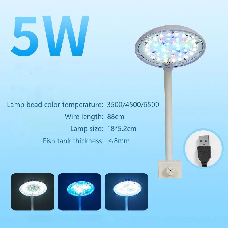 5W white