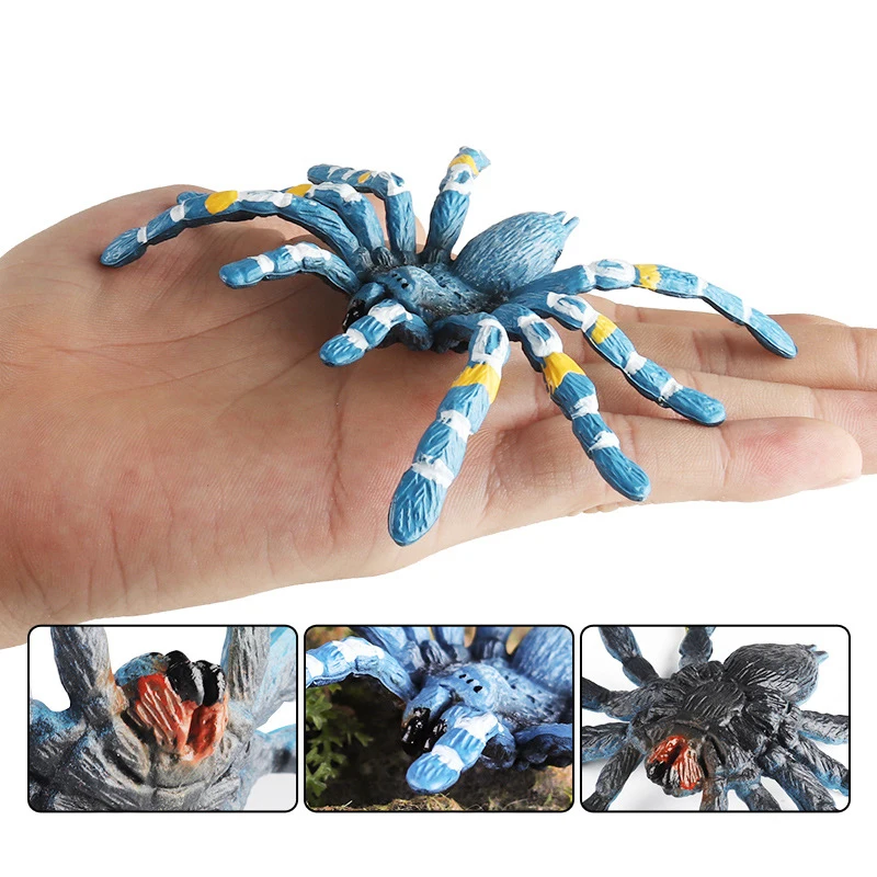 thumbnail image 5 of Figura de araña realista, insecto, tarántula, pavo real, araña, Argiope amoena, figura de acción de plástico sólido, juguetes de broma para niños, 5 of 5