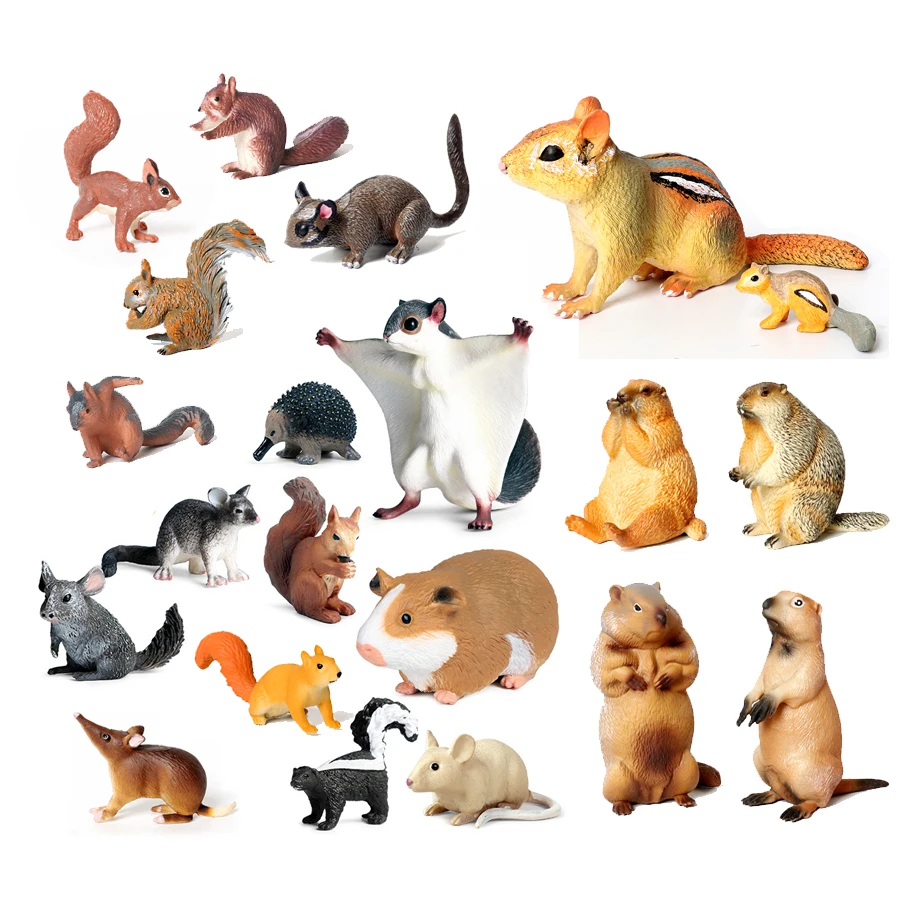 Realistico Wild Forest Animal Squirrel Opossum Marmot Chipmunk Groundhog Model Figures Collezione Educativa Giocattolo Regalo Per Bambini