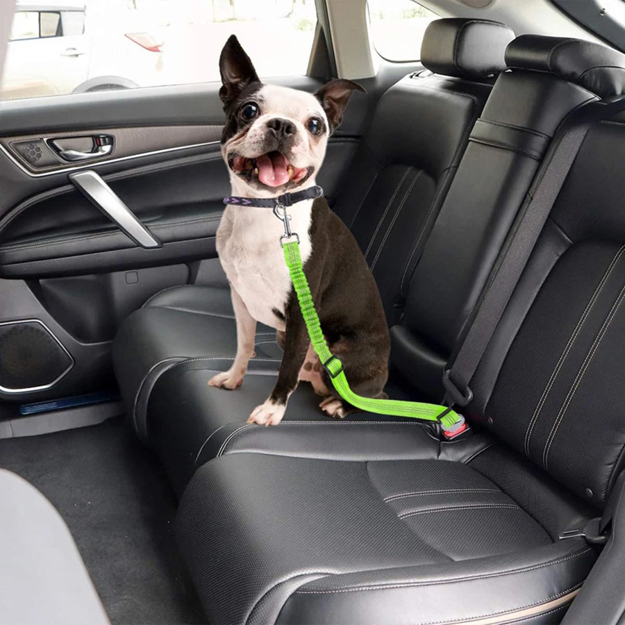Pet supplies Car seat belts Dog leashes Retractable cushioning Elastic reflective safety ropes dog leash pet harness leash dog traction rope dog safety rope