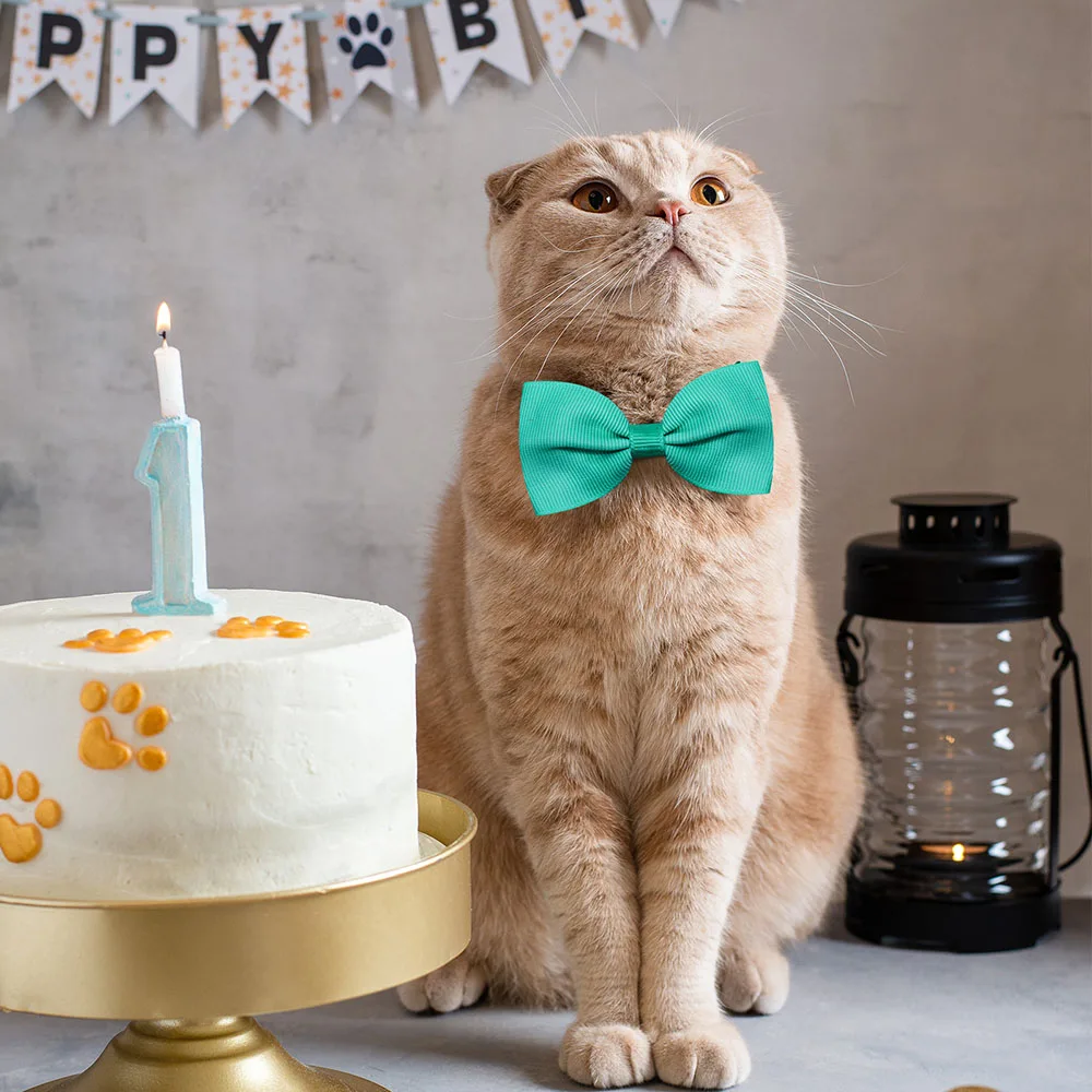 10PCS 솔리드 Bowtie 개 대량 작은 개 고양이 Bowties 넥타이 강아지 개를위한 강아지 활 애완 동물 미용 액세서리