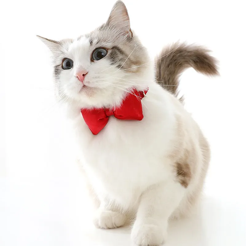Cat Collar Adjustable Pet Collars Silk Bow Cat Necklace Velvet Cats